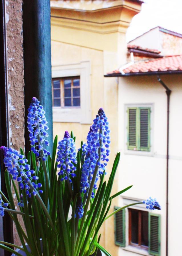 Appartamento In Via San Gallo Floransa Dış mekan fotoğraf